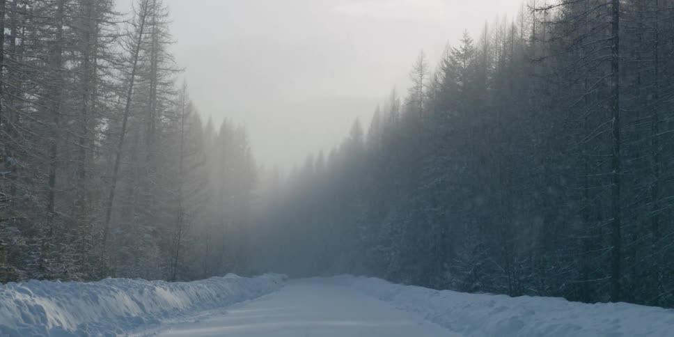 A view of a blizzard in the middle of the day