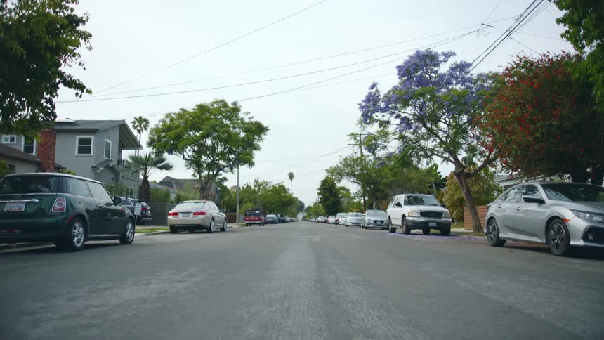 A road through a residential neighborhood during the day