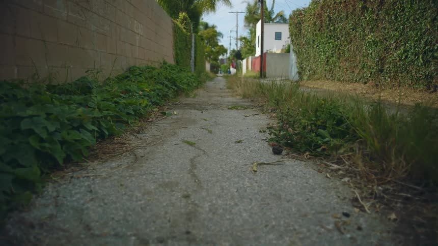 Walking down a path in a village
