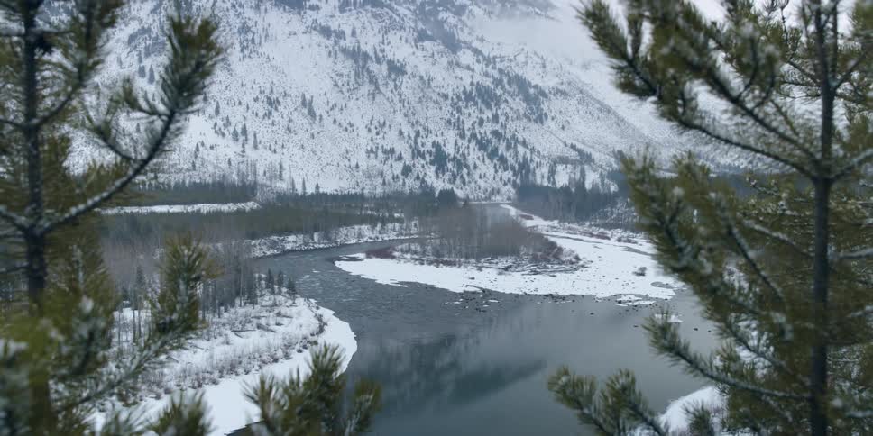 A shot of a river in winter