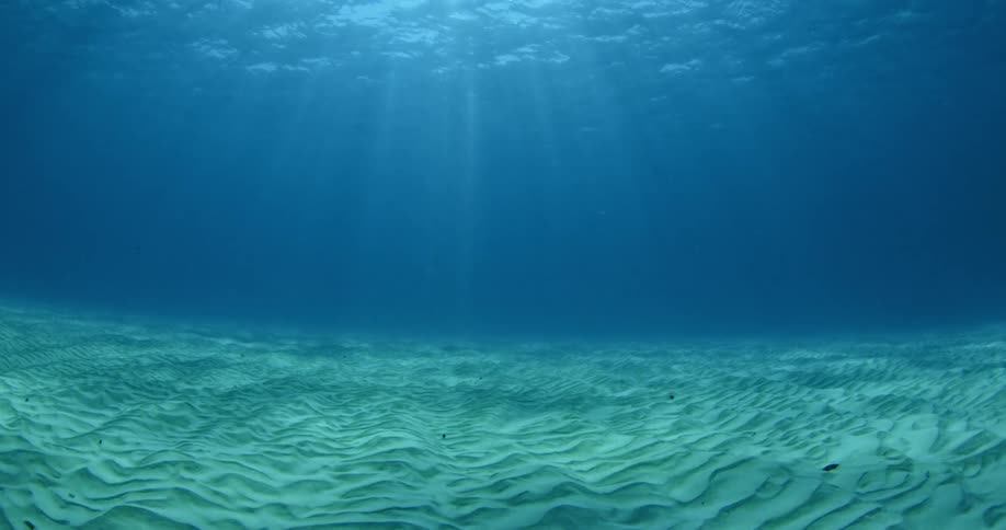 Underwater view of some very clear waters