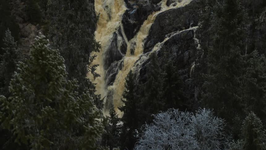 Water cascades down a rocky wall that is surrounded by many tall trees