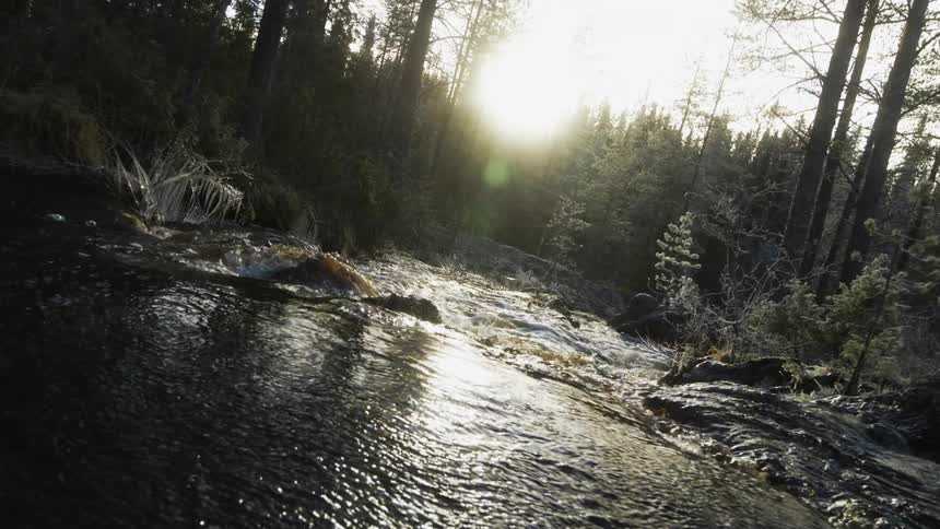Water flowing down a stream in the woods with snow covered trees around as the sun is setting
