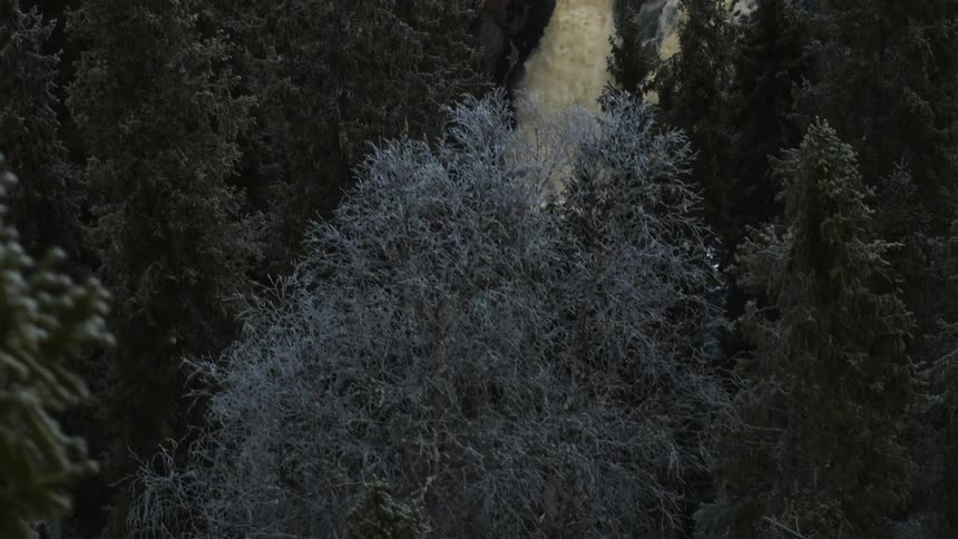 A waterfall rushes over a cliff and into a river that runs through a forest