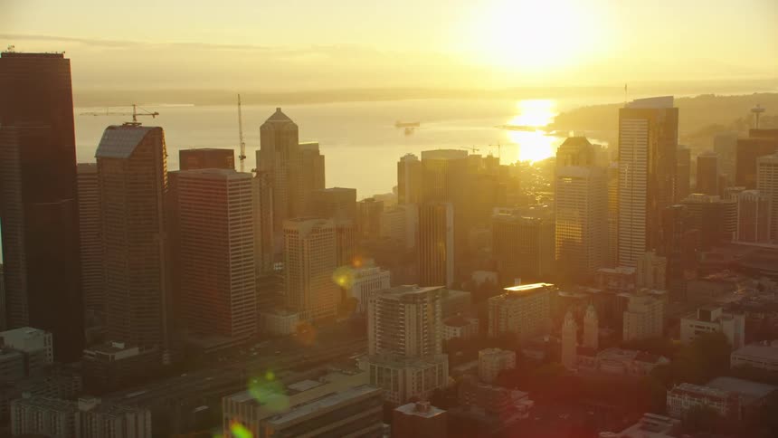Skyscrapers sit in the city next to the lake under the bright sun