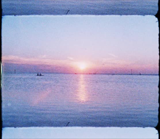 A silhouette of people rowing on the water as seagulls fly overhead at sunset
