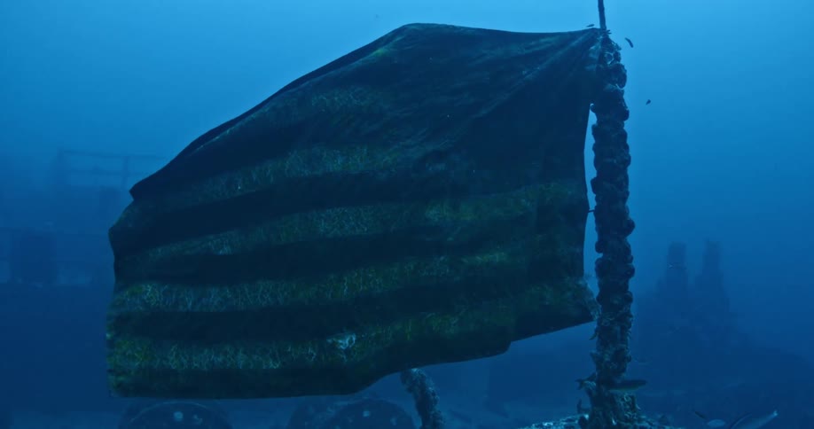 A flag is waving underwater