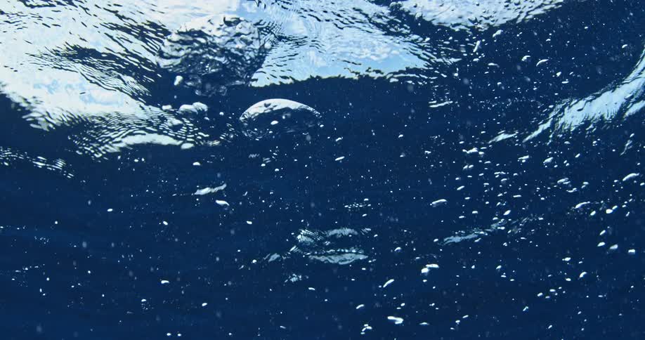 Bubbles move underwater towards the surface