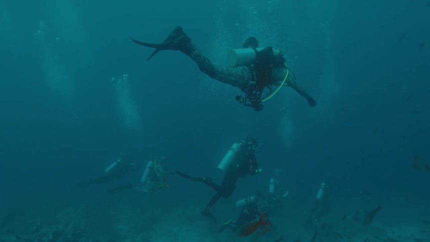 A group of scuba divers swim close to the floor of the ocean