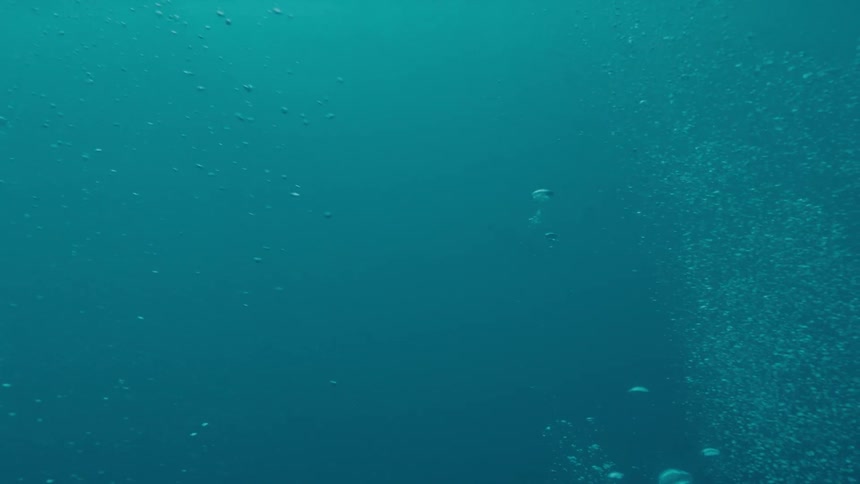 Thousands of bubbles big and small rise up through blue water