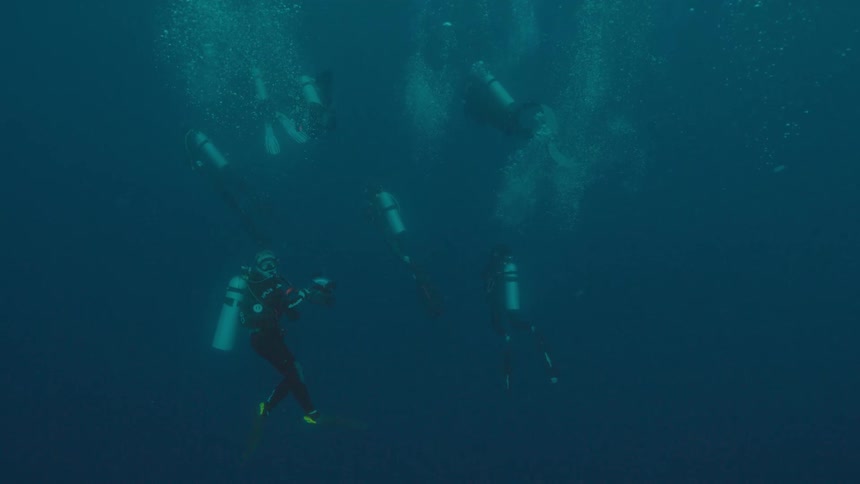 A group of people scuba diving in the ocean