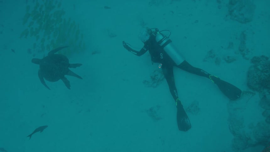 Scuba diver swimming next to a sea turtle over the white sand at the bottom of the ocean