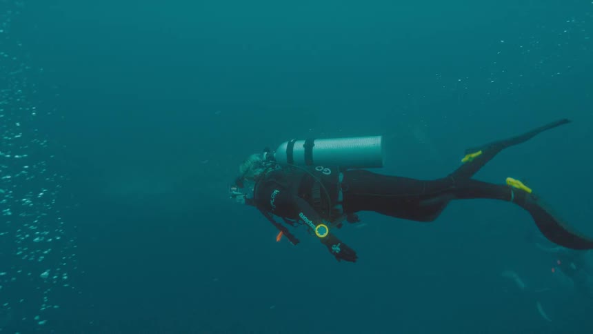 A scuba diver swims underwater