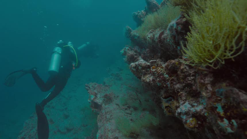 Two people swimming underwater with scuba gear next to a coral reef