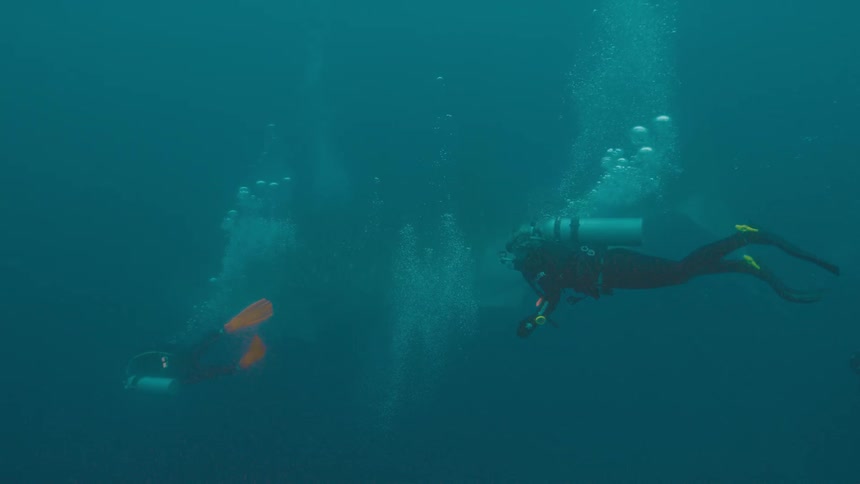 Divers swimming underwater