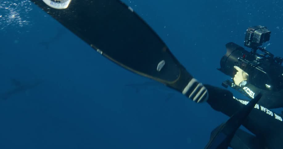 Man with snorkel mask turns underwater pointing large underwater camera with sharks swimming nearby