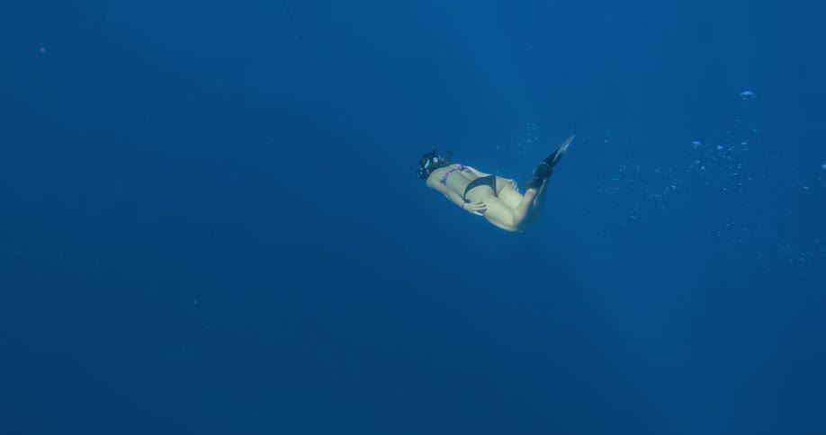 Female free diver swimming near sharks on the clear blue ocean waters