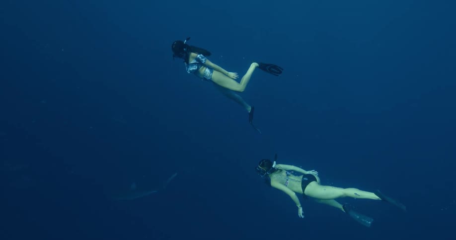 Woman swimming in ocean