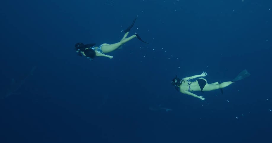 Two women wearing snorkel gear and swim suits swims through blue water
