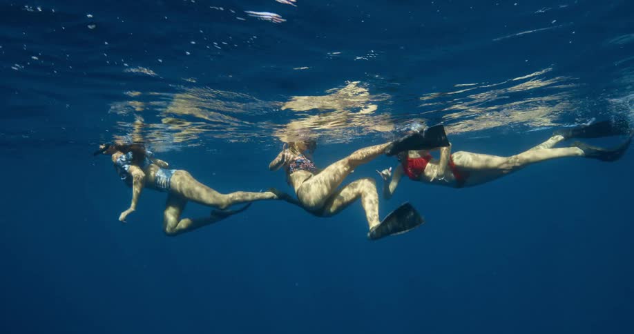 Three females snorkel together in the water