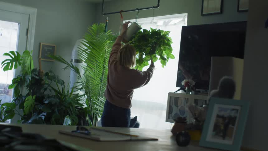 A woman is watering indoors plants