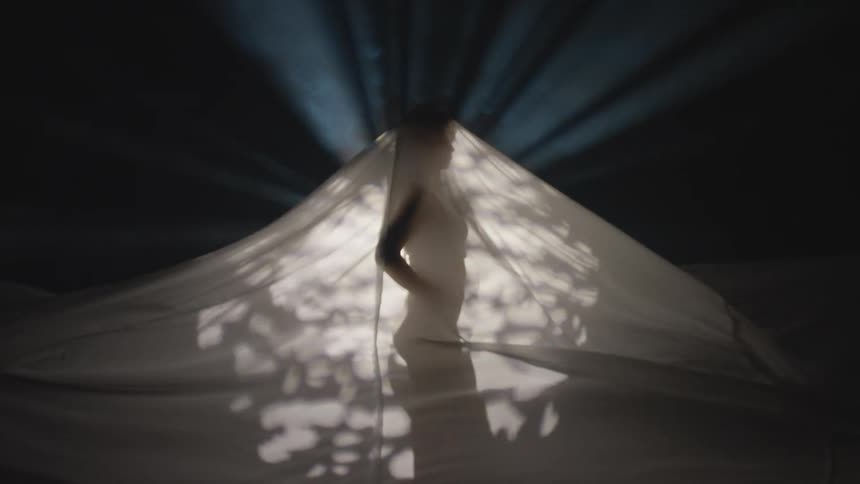 The silhouette of a woman surrounded by leaves seen through the sheer fabric of a tent
