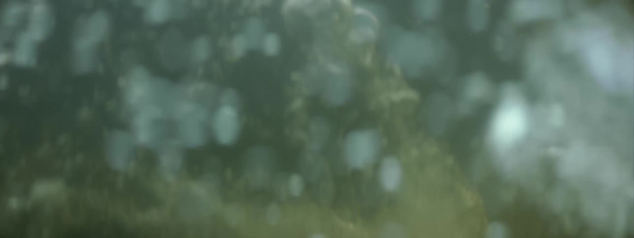A person swimming under water