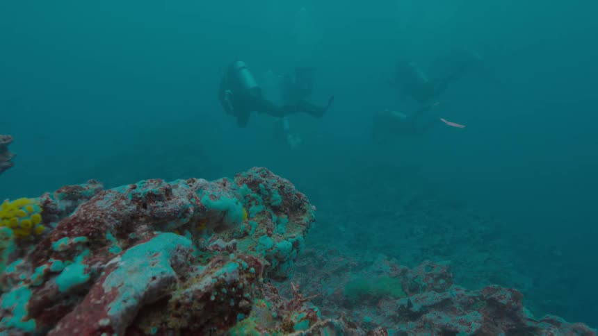 Deep sea divers swim near the coral at the bottom of the ocean