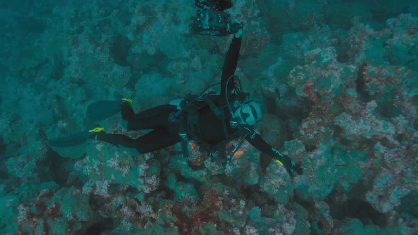 A person swimming underwater with a scuba gear and camera with a coral reef and fishes in the background