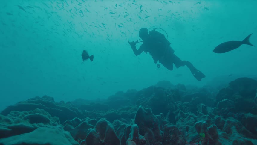 Dim light shines from above to silhouette scuba diver swimming through murky water over coral reef