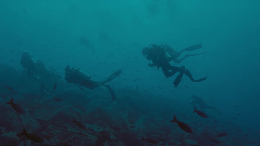 Scuba divers swimming over a coral reef on the bottom of the murky blue ocean waters