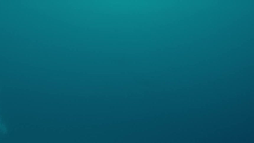 Large stream of bubbles rises through murky blue ocean water