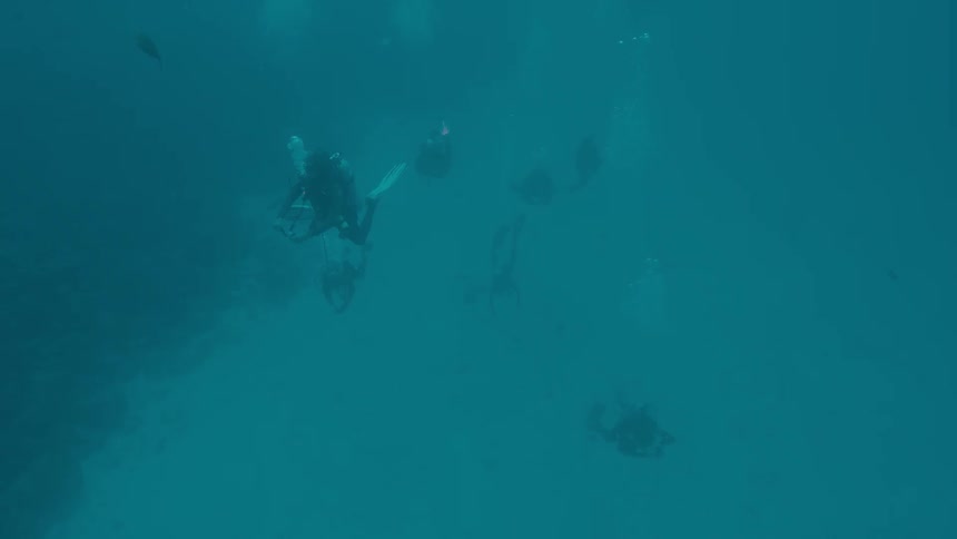 Six scuba divers swimming over the ocean floor in the blue sea waters