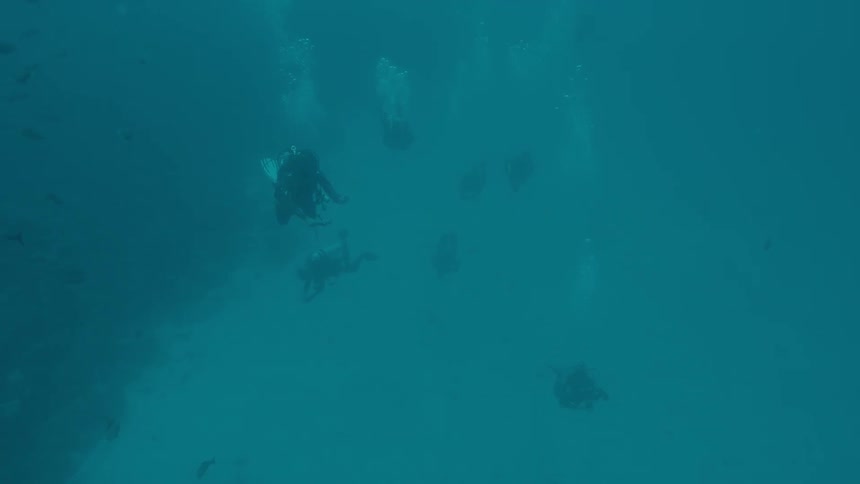 A diver is underwater with the fishes