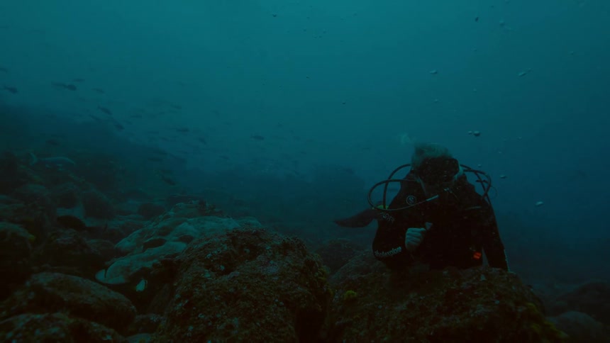 Deep sea diver swims near the coral at the bottom of the ocean