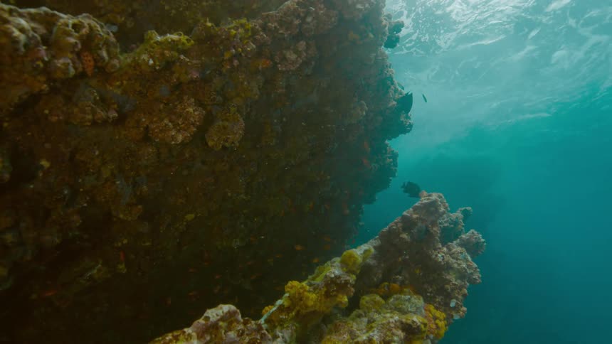 The water is rough at the surface