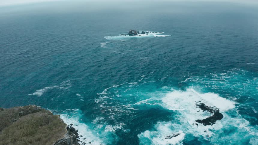 An aerial view of waves crashing against rocks on the shore as birds fly through the air