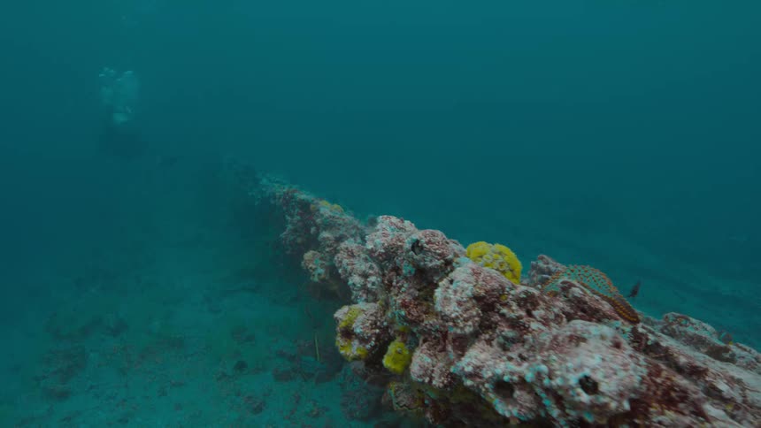 Scuba diver swimming near an underwater promontory of coral in the bue ocean waters