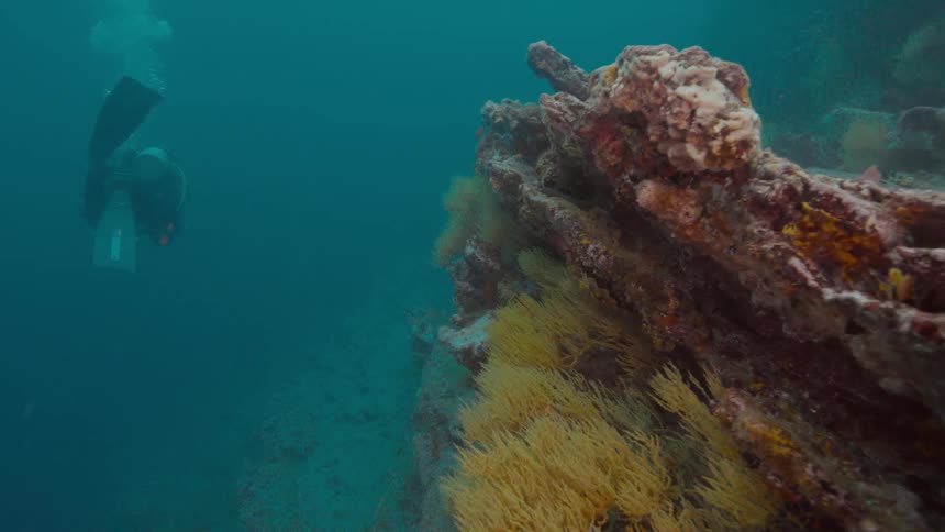 Scuba diver swimming near an underwater promontory of coral in the bue ocean waters