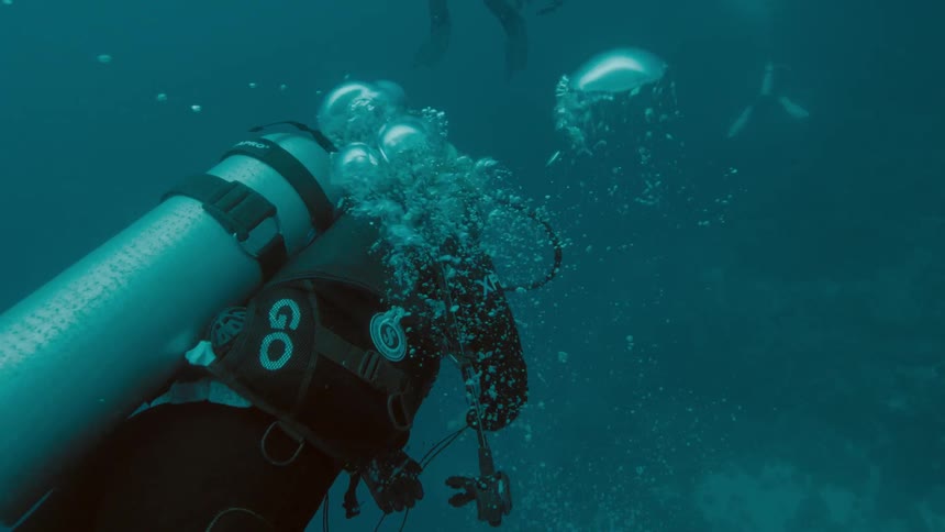 Scuba diver swimming over a coral reef on the bottom of the murky blue ocean waters