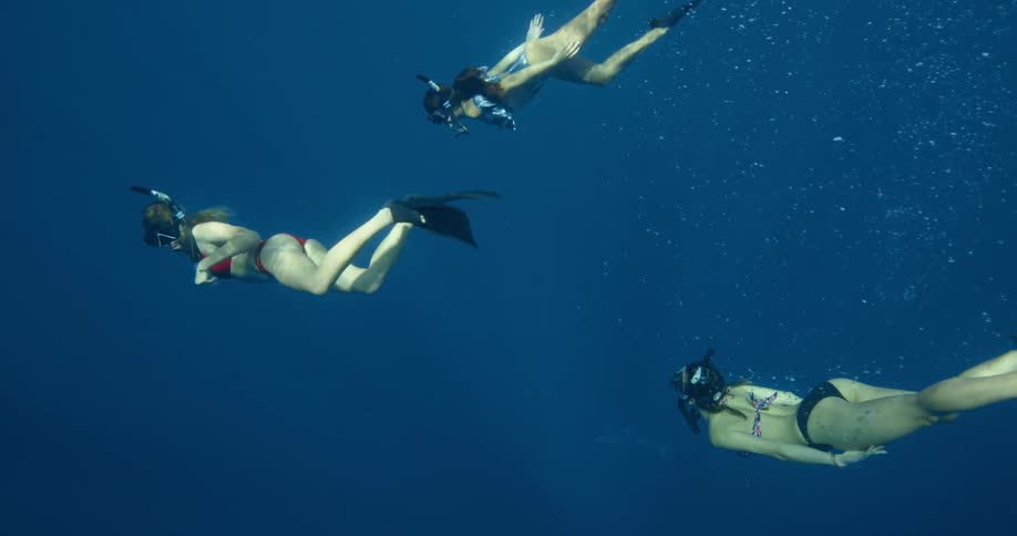 Three women free dive underwater