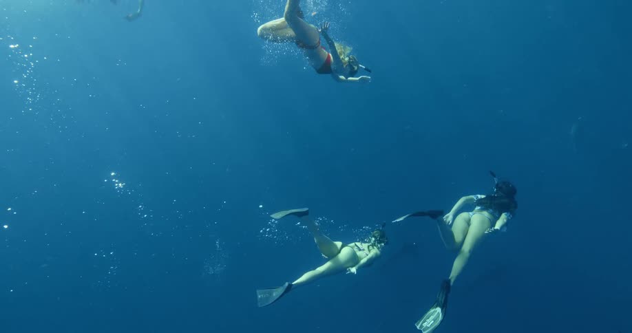 Female diver with bikinis and training fins swim underwater