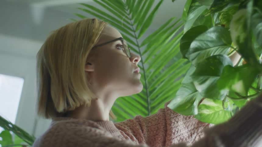 Blonde woman with glasses and a pink knitted sweater attends houseplants