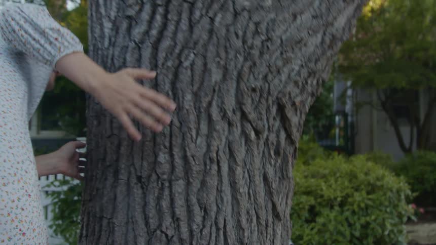 A teenage girl and a young boy chase each other around a tree laughing in a neighborhood