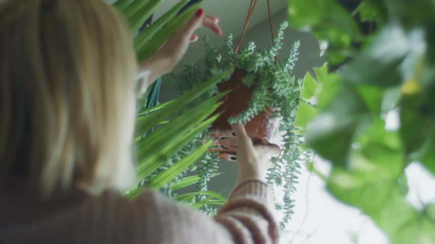 A woman with glasses in a room adjusting a plant with a window in the background