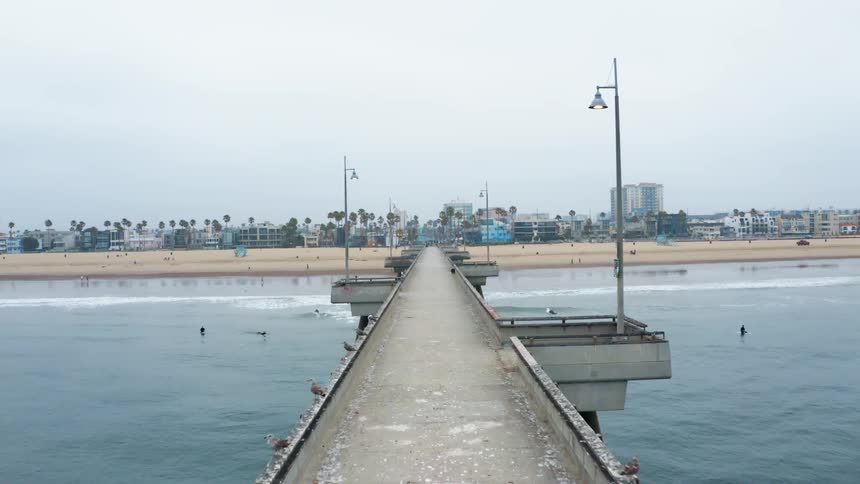 Seagulls fly around the boardwalk looking towards a beach