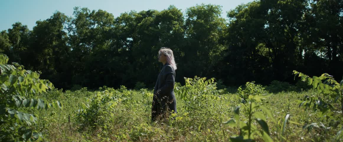 A woman walking on a landscape with plants with trees the sky and clouds in the background