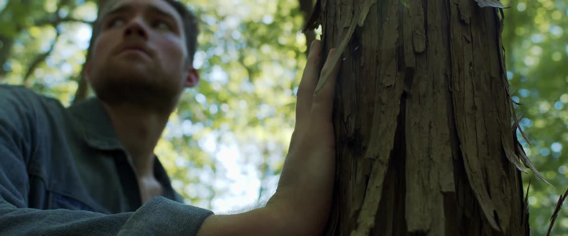 Man stands in forest looking around while placing hand against tree with peeling bark