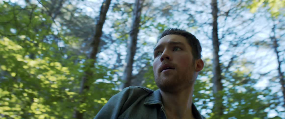 A portrait of a man in the forest