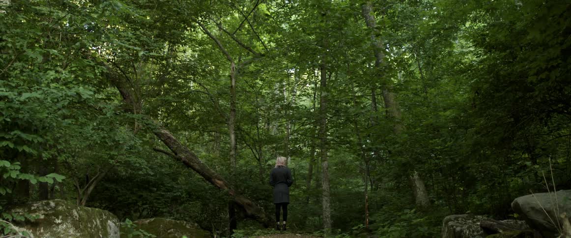 A woman looks around at her surrounds while standing in a woodland during the day